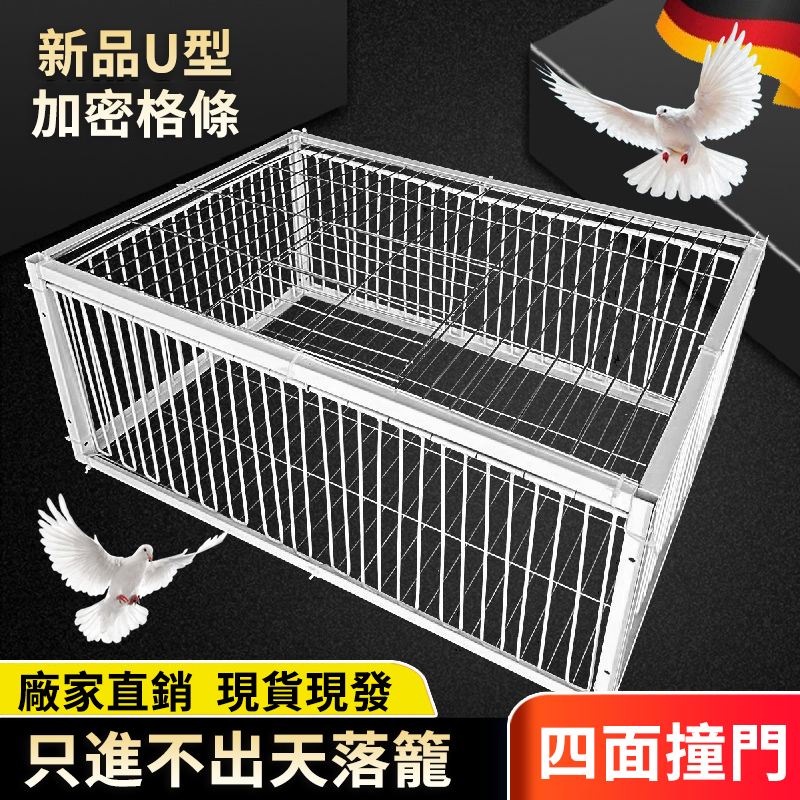 捕鳥天落籠,鳥兒自投羅網!高品質材料,坚固耐用,操作簡單,易上手,助您捕鳥的不二之選!