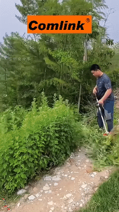 1765962889674168.gif